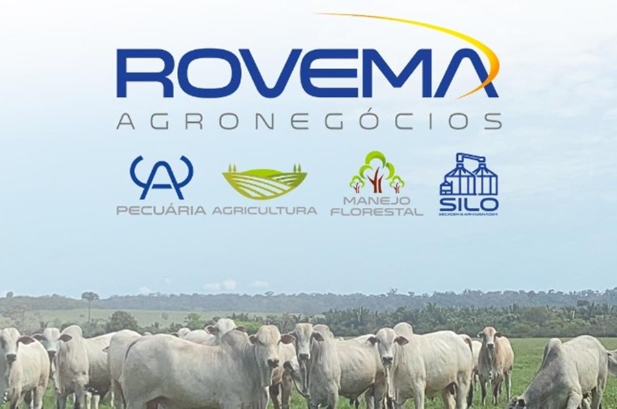 EVENTO: Fazenda Rio Madeira, da Rovema Agronegócios, faz leilão de 64 animais