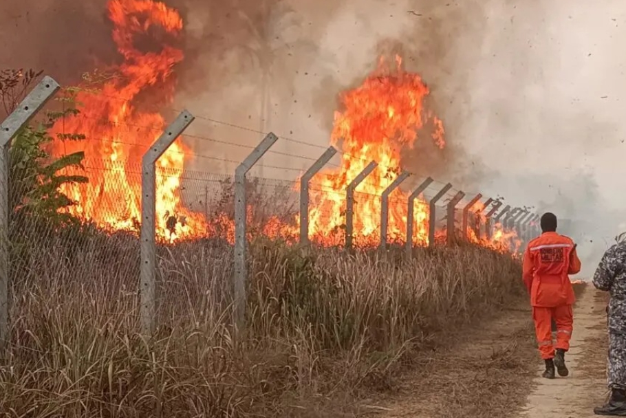FOGO NA AMAZÔNIA: Área queimada no Brasil em janeiro é a menor dos últimos dois anos