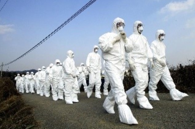 EXISTE ESSE RISCO: Gripe aviária 'tem potencial para se tornar uma pandemia'