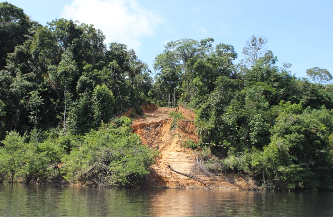 Liminar suspende Licença Prévia da BR-319