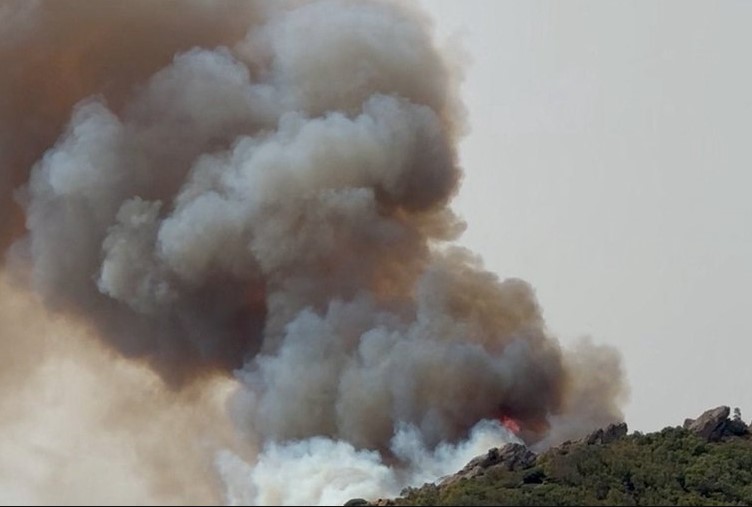 MEIO AMBIENTE: Incêndios florestais devastam Europa e deixam vítimas