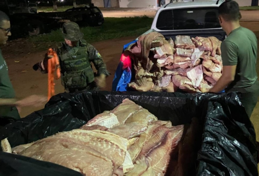 OPERAÇÃO: Comerciante é preso ao ser flagrado com mil quilos de Pirarucu