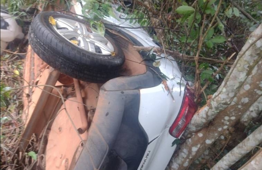 NA 364: Secretária de Educação capota e carro oficial vai parar no meio do mato