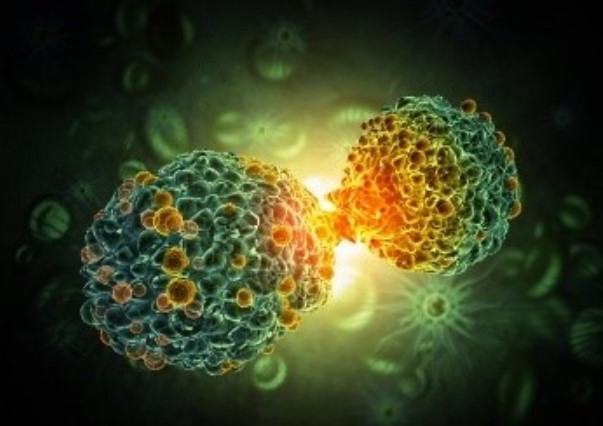 MICRONUTRIENTE: Vitamina contribui para redução de risco de câncer no intestino 