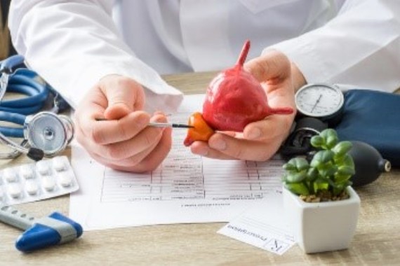 ALTERNATIVA: Nutriente que ajuda a reduzir o crescimento de tumor de próstata