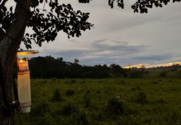 AMAZÔNIA: Risco de malária é maior em regiões degradadas