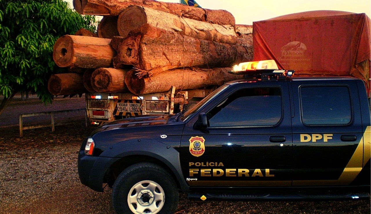 AMAZÔNIA: Justiça libera madeira apreendida na maior operação do tipo feita pela PF