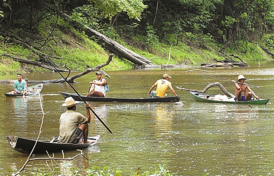 INSCRIÇÕES: Mapa selecionará para os Comitês Permanentes de Gestão da Pesca