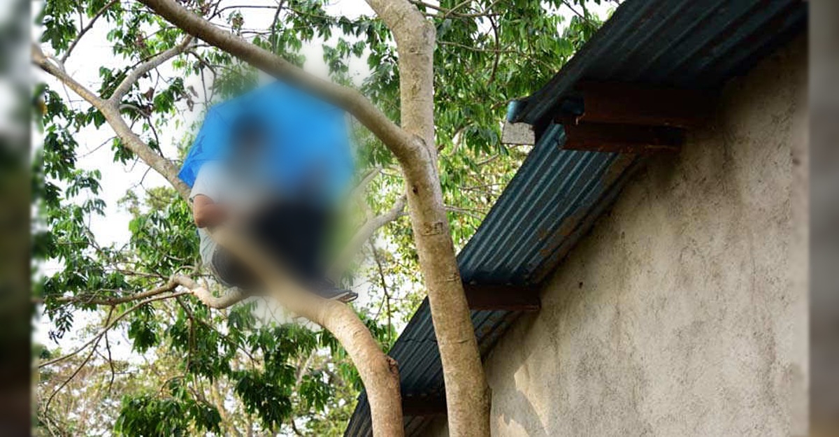 MANÍACO: Acusado de se mastubar em árvore é denunciado por vizinhas e acaba preso