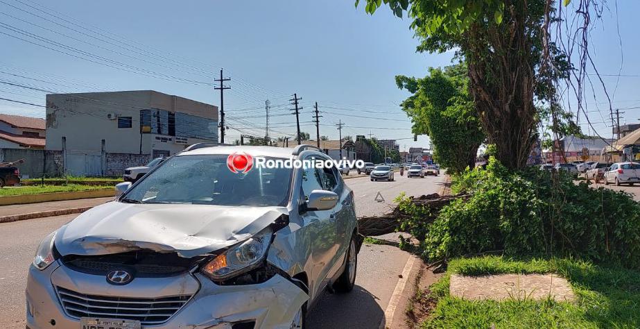 SUSTO: Médica tem carro atingido por árvore que caiu no meio de avenida