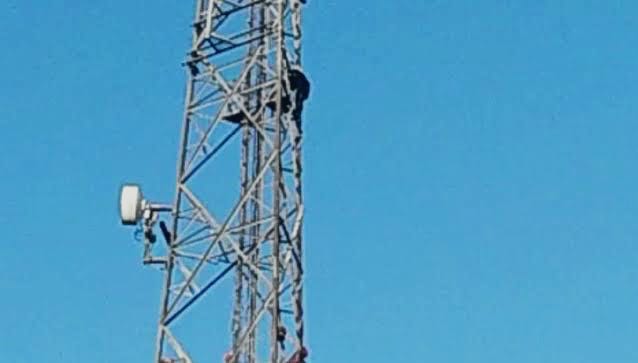 PENDURADO: Ladrão é flagrado furtando cabos de torre de telefonia da Claro
