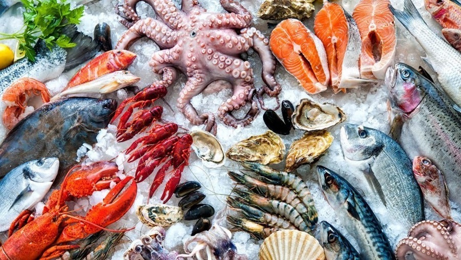 OUTUBRO:  Fórum vai debater a internacionalização do pescado do Brasil