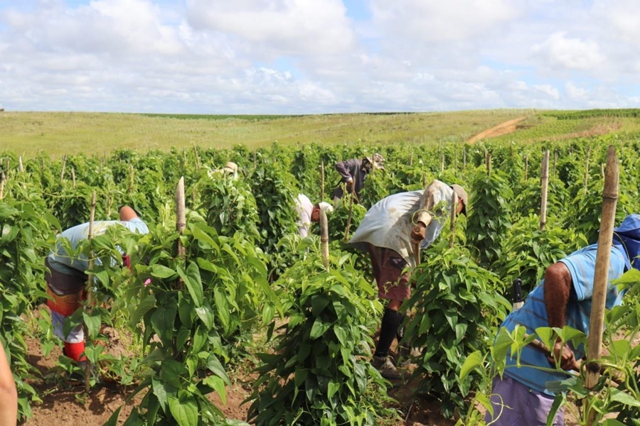 REGULARIZAÇÃO FUNDIÁRIA: RO possui mais processos na Justiça que os Estados do Amazonas e Pará