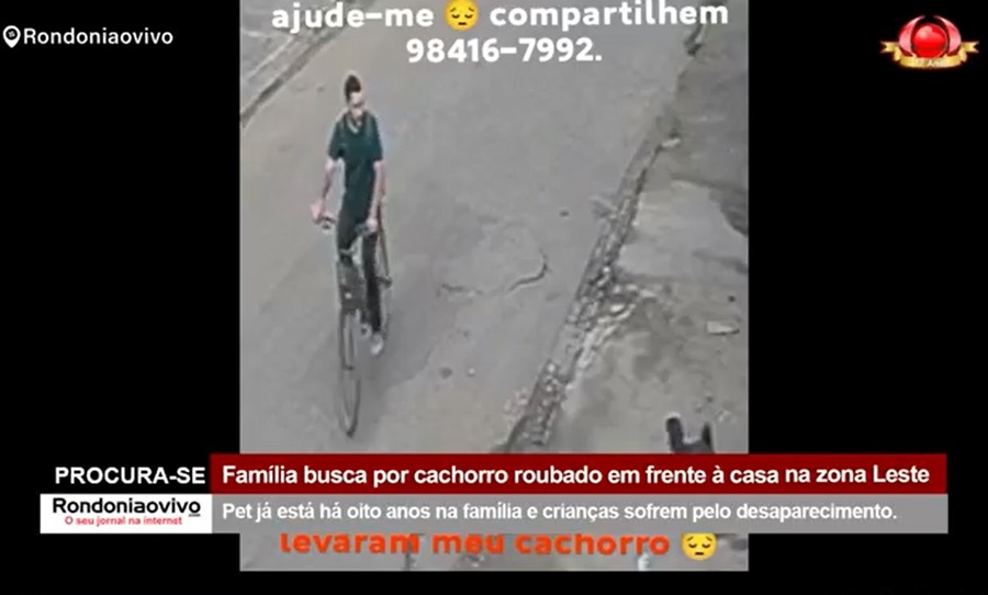 PROCURA-SE : Família busca por cachorro roubado em frente à casa na zona Leste