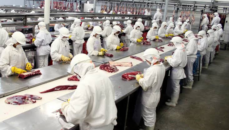 ALUCINADO: Homem é baleado por vigilante após invadir frigorífico em Porto Velho 