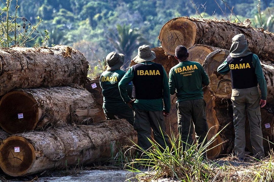 INVESTIGAÇÃO: Ibama cria grupo para fiscalizar fraudes em controle florestal