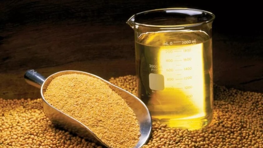 MERCADO: Exportações de óleo de soja crescem 35%