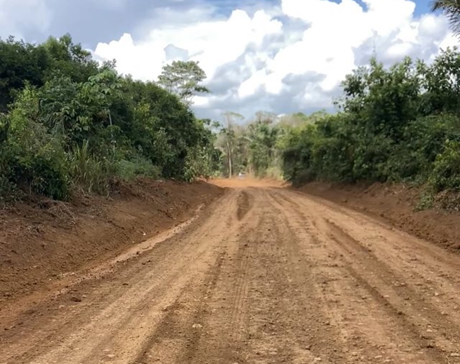 SERVIÇOS: Marcelo Reis cobra e estradas da BR-319 são revitalizadas