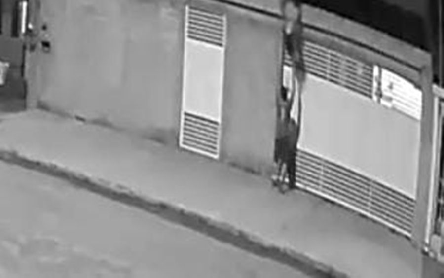 PAGA-SE RECOMPENSA: Vídeo mostra dupla furtando Shitzu em casa e donos tentam localizar