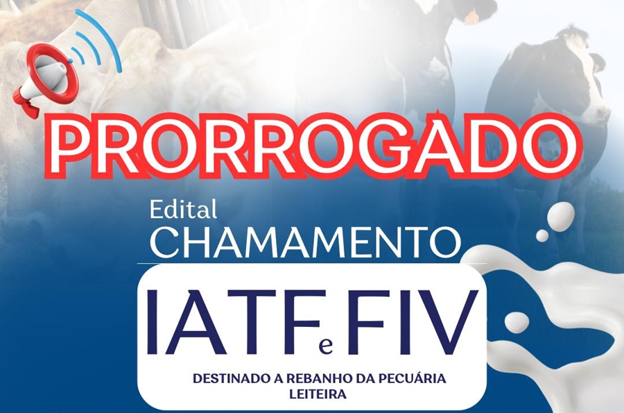 SEBRAE RO: Edital de chamamento público para IATF e FIV segue aberto até 15 de setembro 