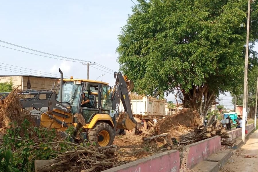 JÚNIOR QUEIROZ: EMDUR atende pedido de vereador e árvores são retiradas da via pública 
