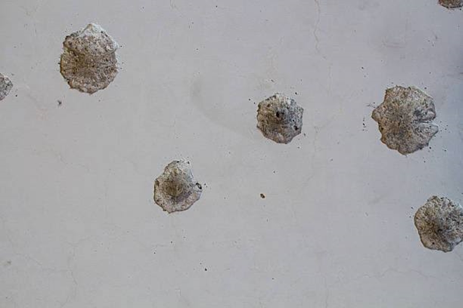 TIROTEIO: Criminosos em carro prata tentam matar homem após furto de arma