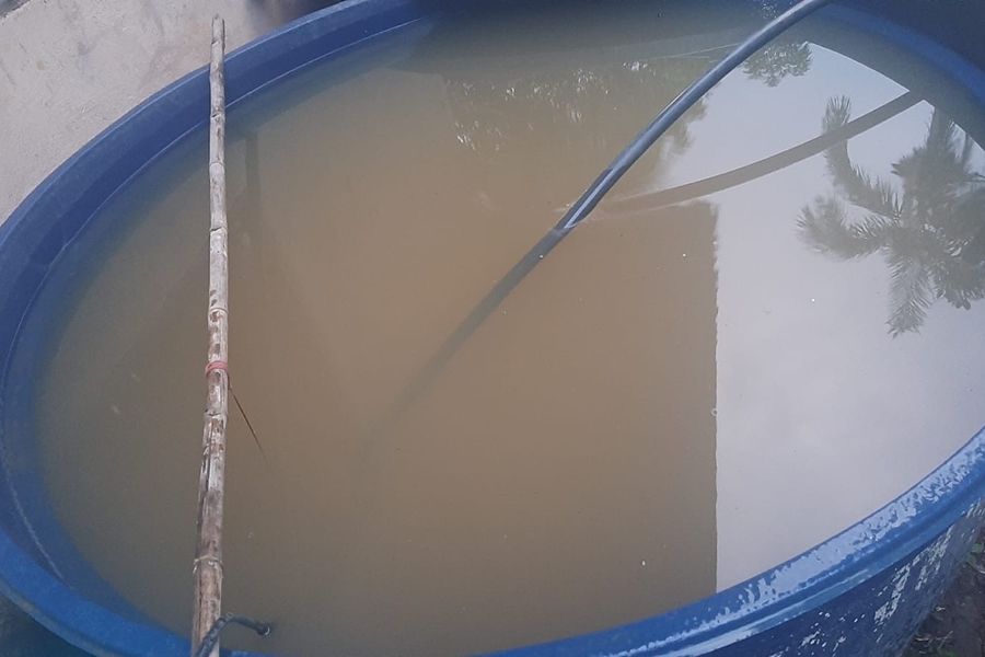 FORTALEZA DO ABUNÃ: Moradores denunciam péssima qualidade da água distribuída no distrito