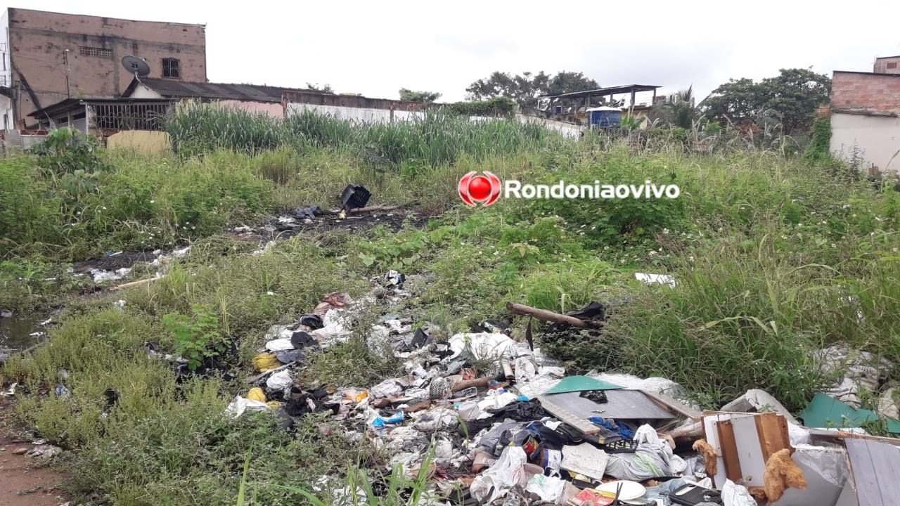 PEDIDO DE PROVIDÊNCIA: Moradores do bairro Cidade Nova reclamam de terreno baldio abandonado