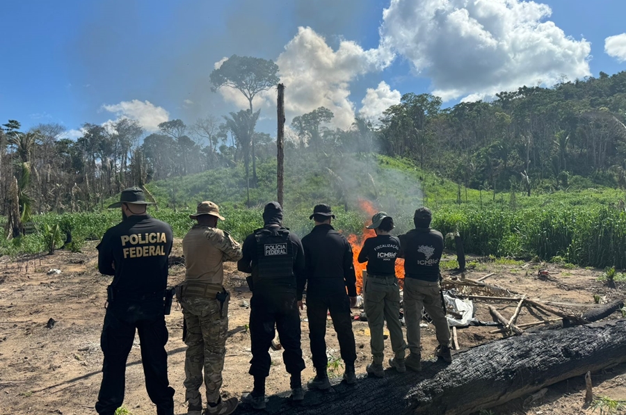 JACAÚNA: Operação da PF combate desmatamento ilegal em Reserva Extrativista