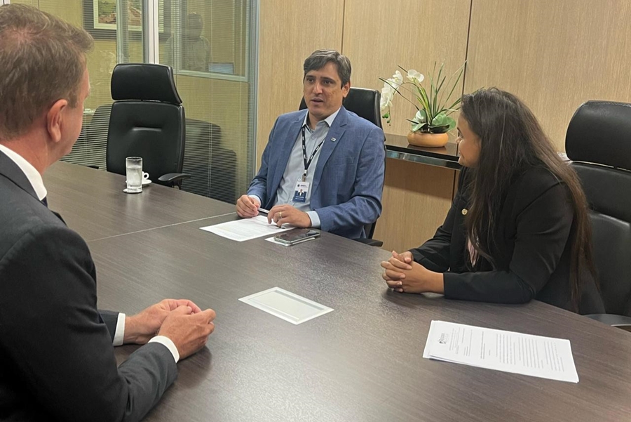 TAÍSSA SOUSA: Deputada busca atualizações sobre pontes dos rios Araras, Ribeirão e Binacional