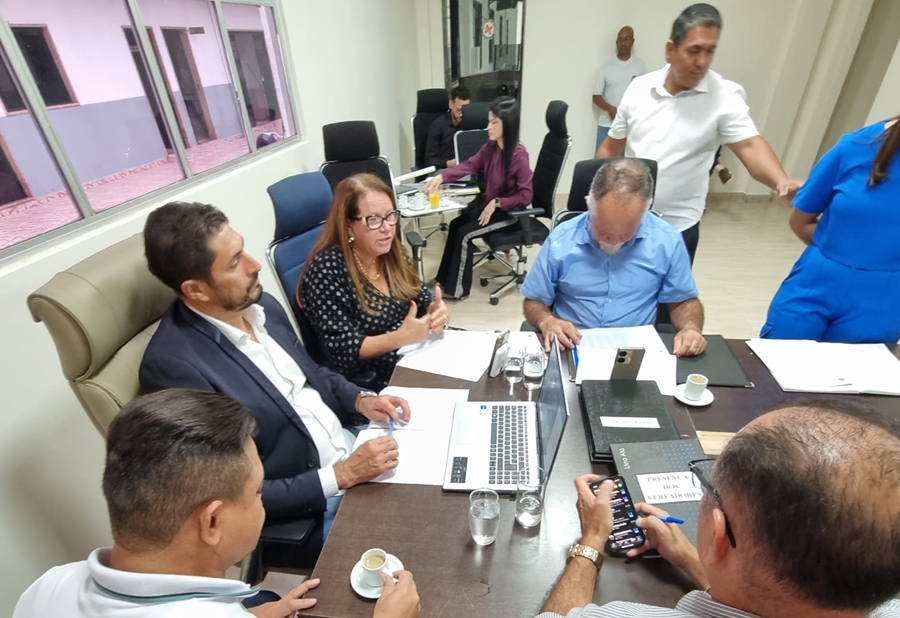 ELLIS REGINA: Vereadora cobra retorno de cirurgias de histerectomia  