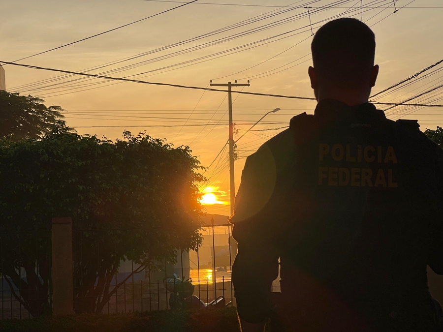 ALVOS DA PF: Madeireiros e indígenas são acusados de esquema de extração de madeira