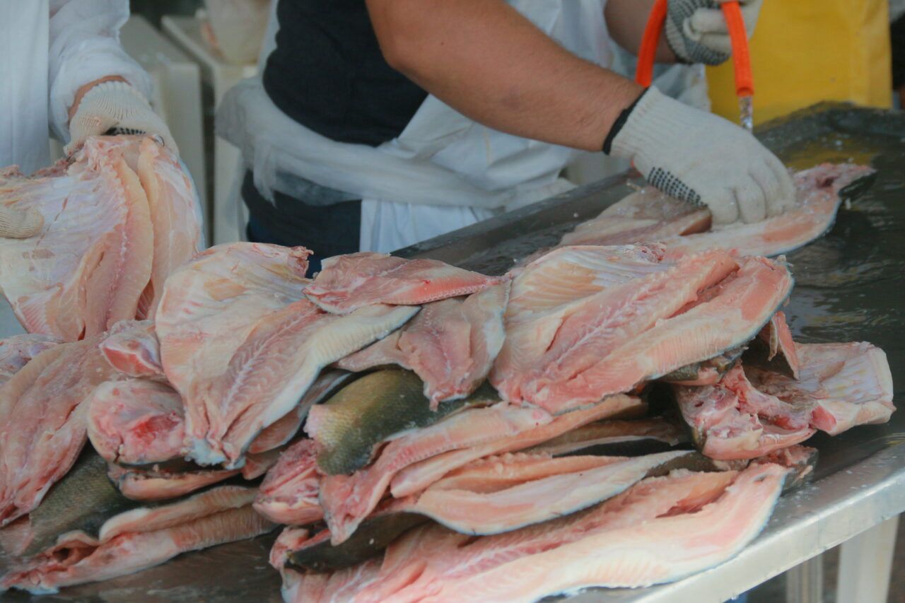 TAMBAQUI: Governador projeta alta na exportação após impulsionar nova linha de produção