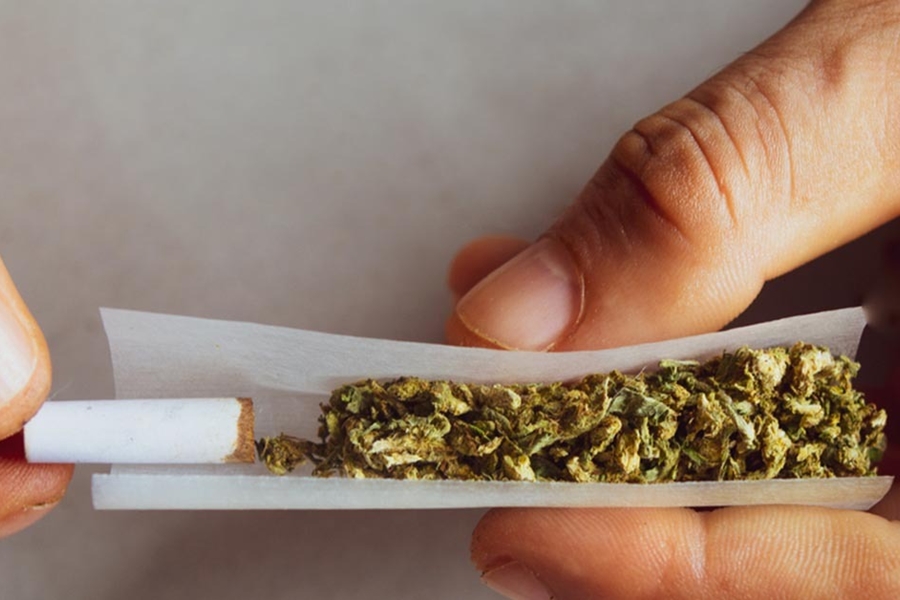 ABERTURA: Alemanha legaliza o consumo recreativo de maconha no país