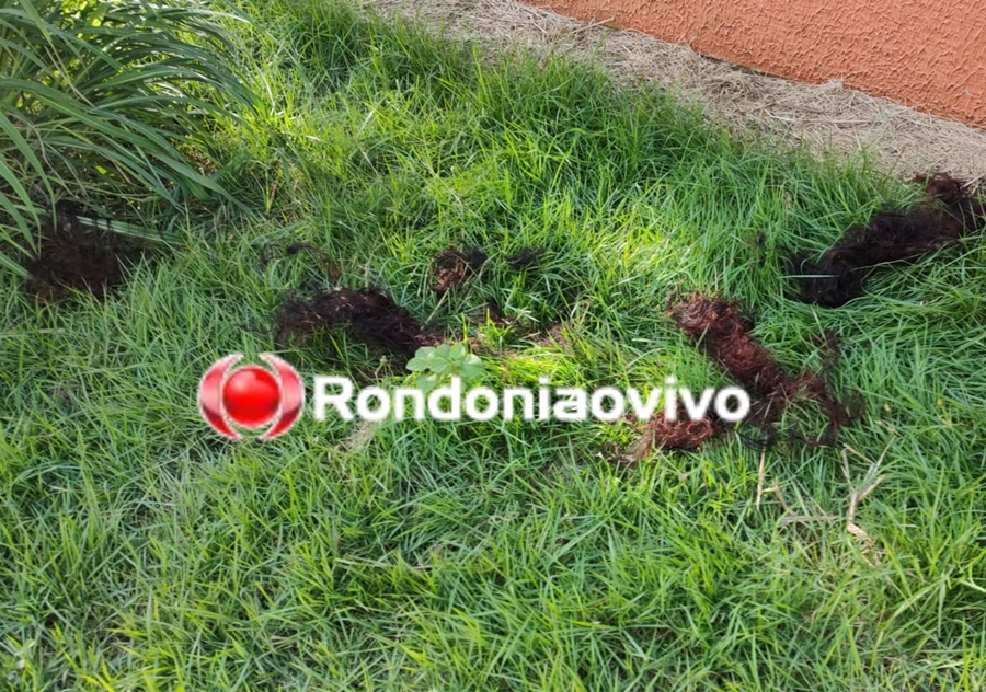 MORAR MELHOR: Polícia encontra menina de 13 anos torturada por criminosos em condomínio