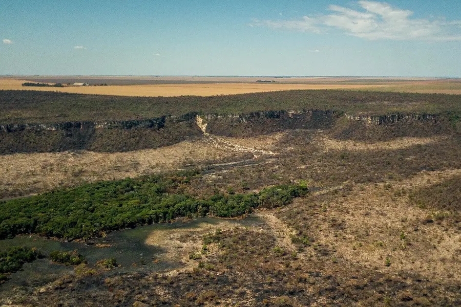 MEDIDA: Prazo para aderir ao controle do desmatamento começa dia 12 de abril