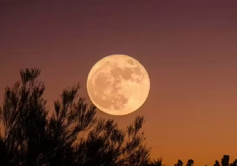 HOJE:  ‘Lua Cheia Rosa’ poderá ser vista no Brasil; entenda
