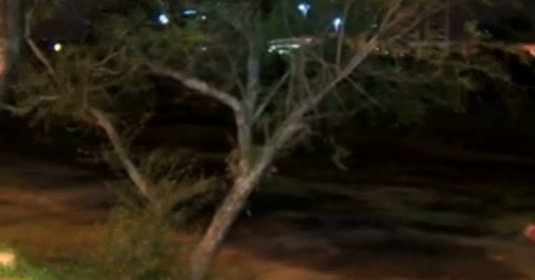 TERRENO BALDIO: Acadêmica é agredida, roubada e abusada ao sair da faculdade 