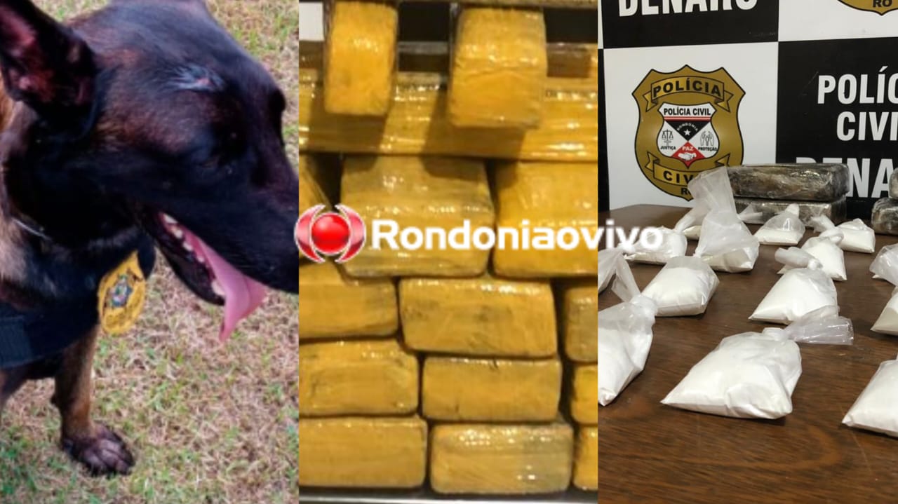 COMBATE AO TRÁFICO: Operação do Denarc apreende cerca de 30 quilos de drogas em Porto Velho