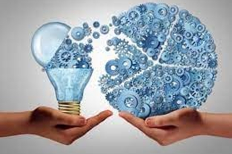 Inovação e Confiabilidade nos Serviços de Transportes de Veículos e Mudanças em Brasília-DF