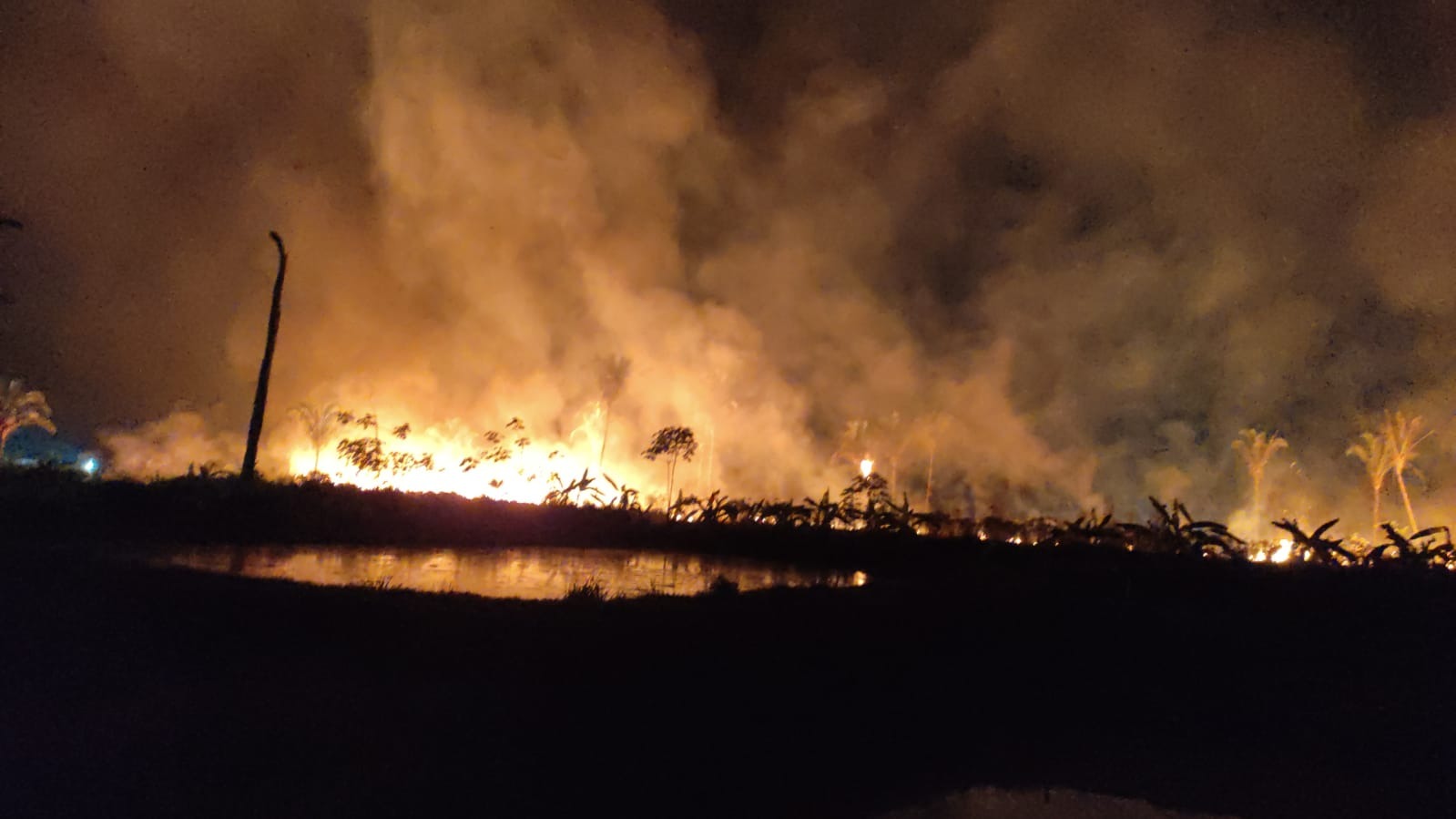 QUEIMADA: Fogo em grande intensidade coloca em risco casas de chacareiros