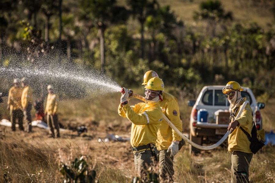 RONDÔNIA: Processo Seletivo do ICMbio está com inscrições abertas para nível fundamental
