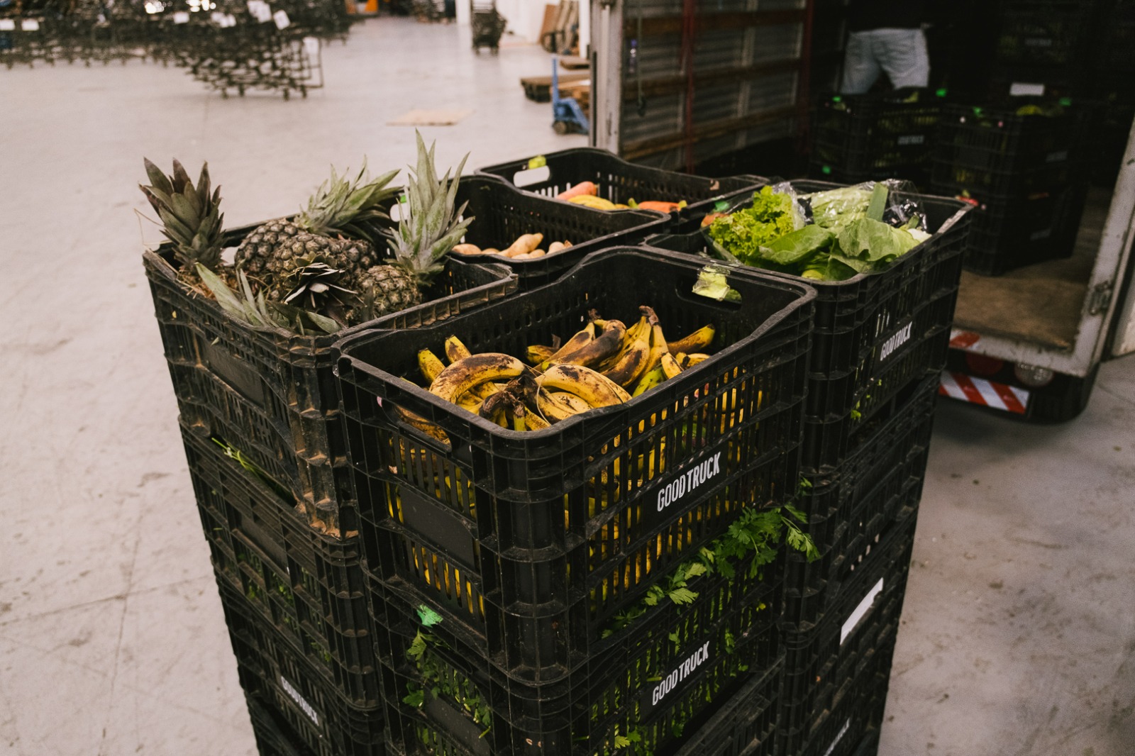 AVANÇOS: Insegurança alimentar no Brasil cai 85% em 2023, segundo relatório da ONU