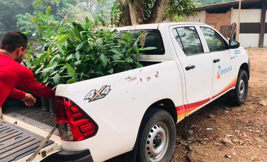 ENERGISA: Ações de sustentabilidade têm garantido cuidado com o meio ambiente