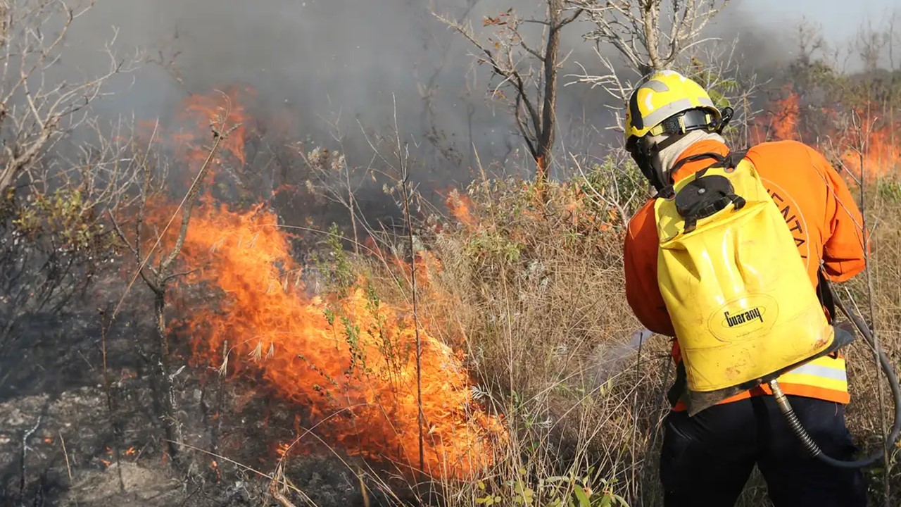 JÁ EM AÇÃO: Campanha de prevenção e combate aos incêndios criminosos na Amazônia 