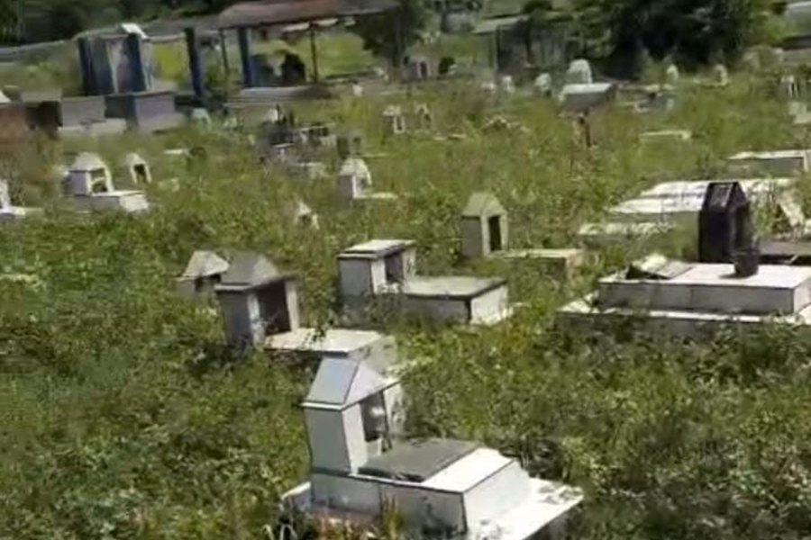 PEDIDO DE PROVIDÊNCIA: Cemitério Santo Antônio é tomado pelo mato em Porto Velho