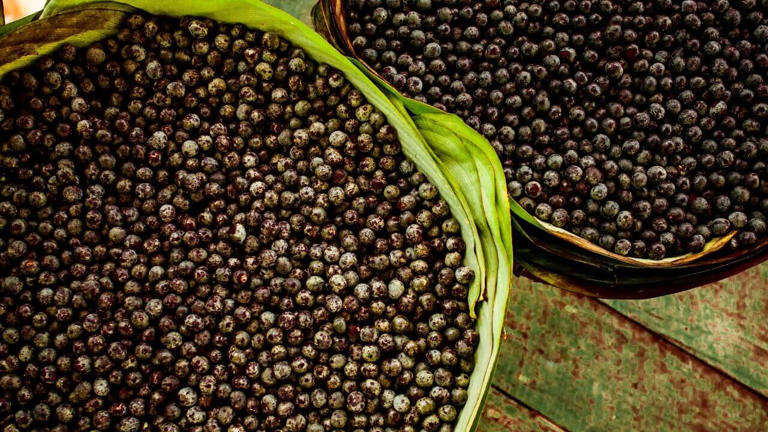 NOVIDADE: Café de açaí é mais saudável?  