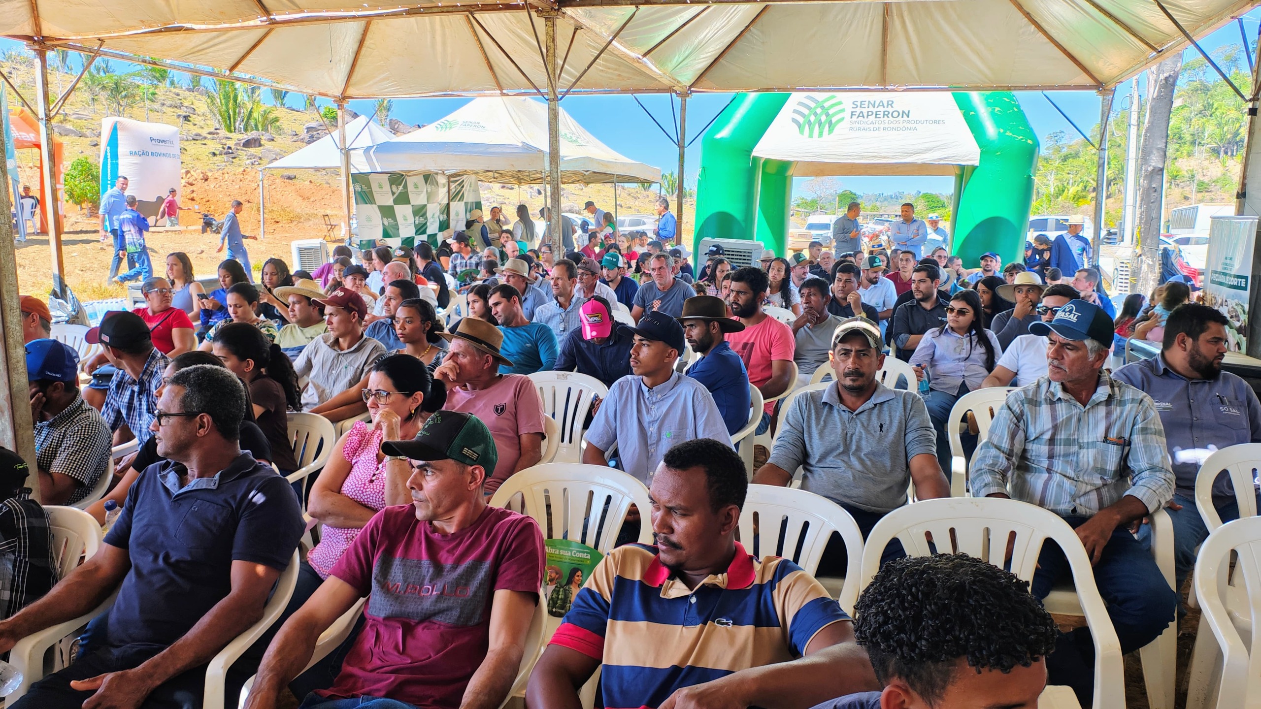 MODELO: Sistema Faperon/Senar mostra avanços na produção de leite durante Dia de Campo 