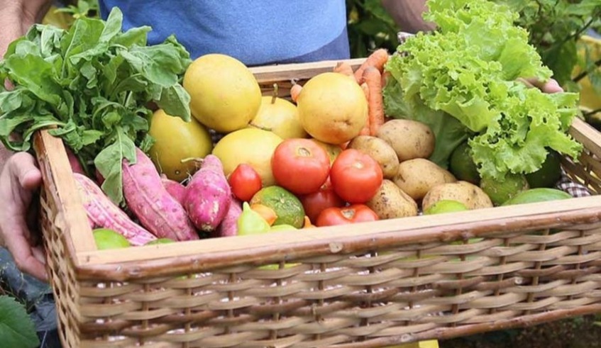 MUDANÇA DO CLIMA: Segurança alimentar global depende da Amazônia, diz diretor do IPAM