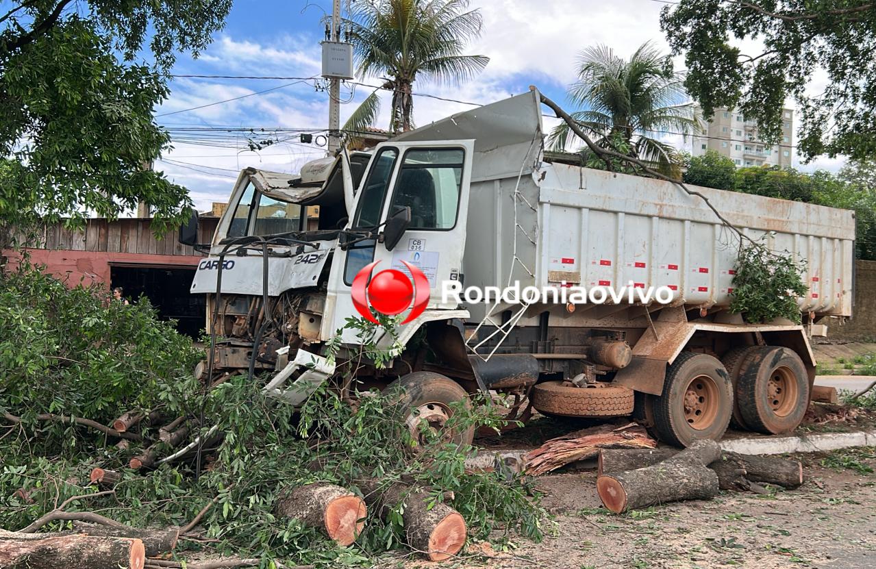 URGENTE: Caçamba sobe canteiro central e derruba árvore na Imigrantes